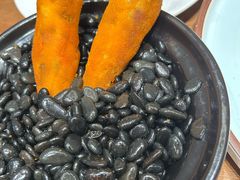 -丁老爷子苏香圆