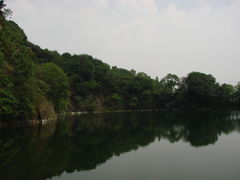 景点-王借岗森林公园