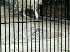 -广东茂名森林公园