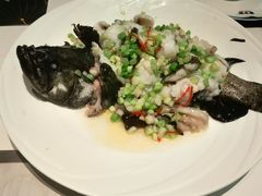 -新兴·金羊座·粤菜点心(乐峰店)
