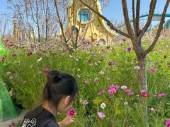 -水上乐园·欢乐世界