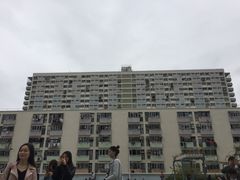 -彩虹村