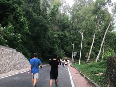 -火炉山森林公园