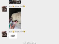 -汪喵宠物医院·骨科心脏影像·犬猫急重症ICU诊疗中心(成华分院)