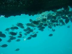 -亚龙湾海底世界