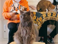 -平行世界·猫咖(首经贸店)