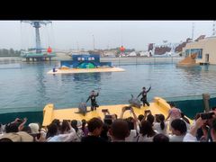 -秦皇岛乐岛海洋王国