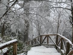 -龙苍沟森林公园