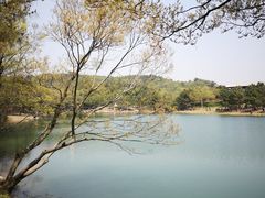 -南京市无想山景区