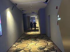 -星河寰宇IMAX影城(星河WORLD·COCO Park店)