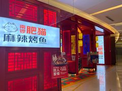 门面-南锣肥猫·麻辣烤鱼·16年现烤现卖(财富购物中心店)