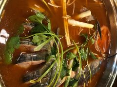-芦苇荡·酸汤鱼(回龙观店)