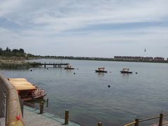 -包头南海湿地景区