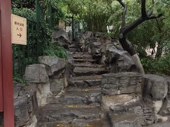 -环城公园