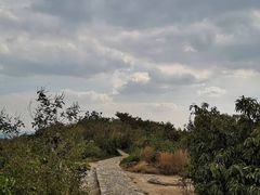 -白马涧龙池景区