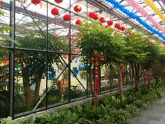 -南宫五洲植物乐园