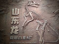 -山东博物馆