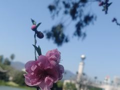 -西湖公园(鼓楼区)