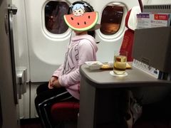 -海南海航航空信息系统公司