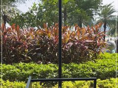 -星巴克(珠海仁恒滨海中心店)
