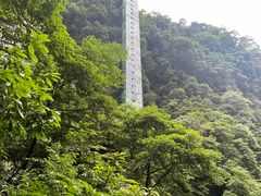 -碧峰峡风景区