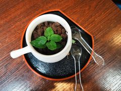 盆栽奶酪-艺冉时光(田子坊店)