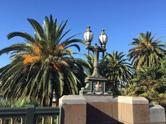 -墨尔本皇家植物园