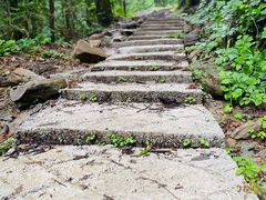 -素山寺森林公园