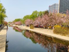 -元大都城垣遗址公园