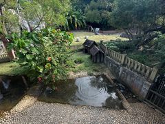 -广东惠东海龟国家级自然保护区