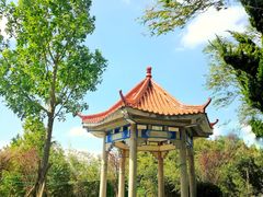 -日照海滨国家森林公园