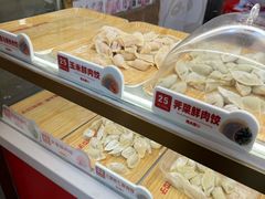 -熊大爷现包饺子(和平里店)