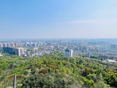 -杭州半山国家森林公园