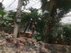 -龙达温泉生态城