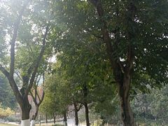 -沐仙湖湿地公园