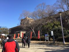 -大阪市立自然史博物馆