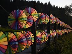 -武陵山森林公园