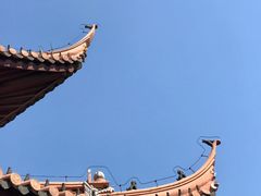 -苏州文庙(姑苏区)