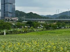 -光明小镇欢乐田园