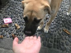 -老东北大铁锅·烧烤·东北菜
