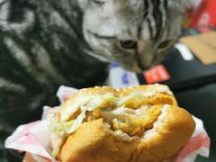 麦辣鸡腿堡-麦当劳(健德桥得来速店)