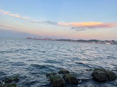 -悦海公园