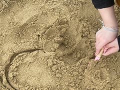 -碧海金沙