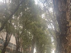 -光明刘冰乳鸽店(光明法政北路店)