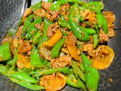 辣椒炒肉-新太二·鲜料川菜(晶耀前滩店)