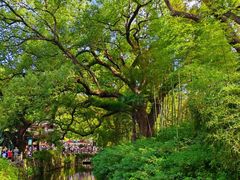 景点-古堰画乡景区