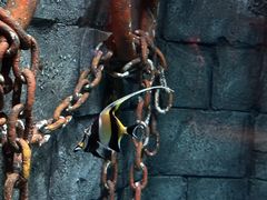 -沈阳海洋探索中心