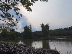 -森波拉奇妙世界