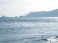 -海云台海滩