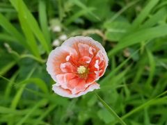 -东坝千亩湖公园